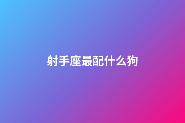 射手座最配什么狗-第1張-星座運勢-玄機派
