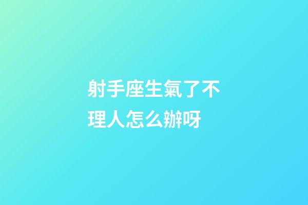 射手座生氣了不理人怎么辦呀-第1張-星座運勢-玄機派