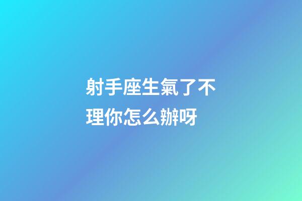 射手座生氣了不理你怎么辦呀-第1張-星座運勢-玄機派