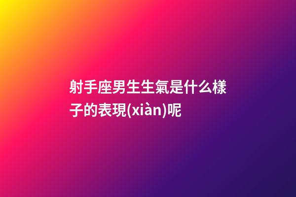 射手座男生生氣是什么樣子的表現(xiàn)呢-第1張-星座運勢-玄機派