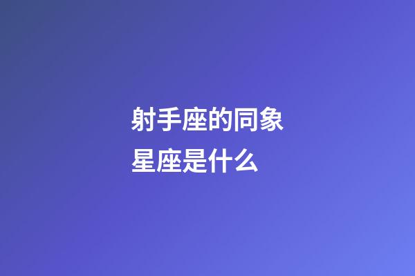 射手座的同象星座是什么-第1張-星座運(yùn)勢(shì)-玄機(jī)派