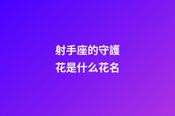 射手座的守護花是什么花名-第1張-星座運勢-玄機派