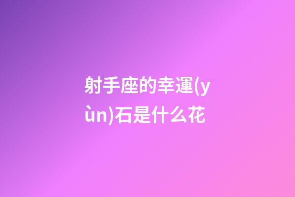 射手座的幸運(yùn)石是什么花-第1張-星座運(yùn)勢(shì)-玄機(jī)派