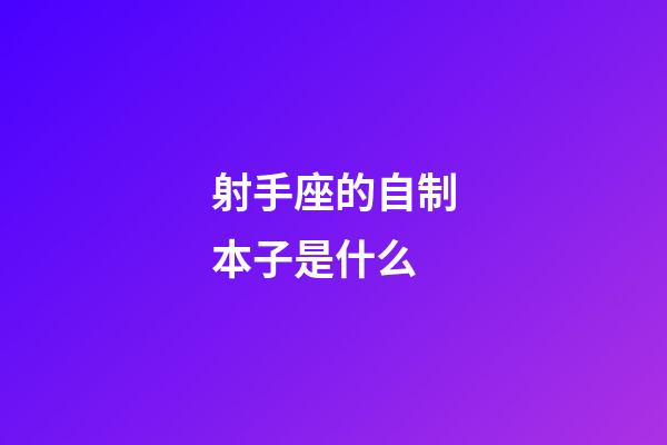 射手座的自制本子是什么