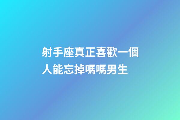 射手座真正喜歡一個人能忘掉嗎嗎男生-第1張-星座運勢-玄機派