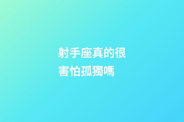 射手座真的很害怕孤獨嗎-第1張-星座運勢-玄機派