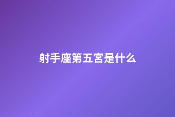 射手座第五宮是什么-第1張-星座運勢-玄機派