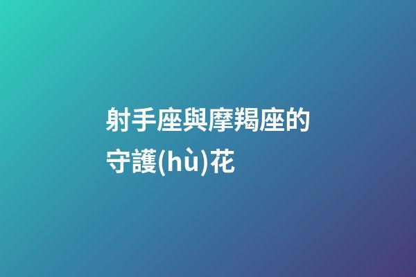 射手座與摩羯座的守護(hù)花-第1張-星座運(yùn)勢(shì)-玄機(jī)派
