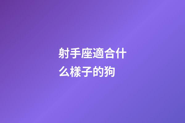 射手座適合什么樣子的狗-第1張-星座運勢-玄機派