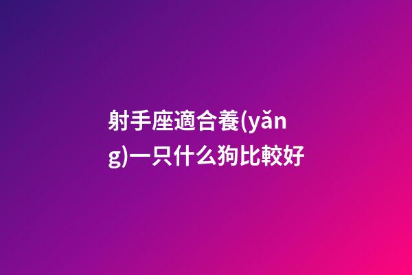 射手座適合養(yǎng)一只什么狗比較好-第1張-星座運(yùn)勢(shì)-玄機(jī)派