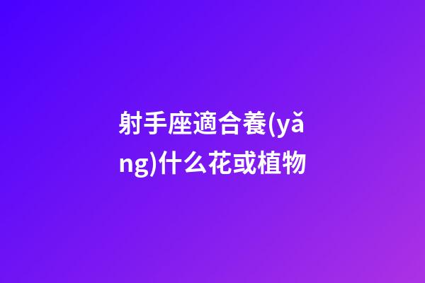 射手座適合養(yǎng)什么花或植物-第1張-星座運(yùn)勢(shì)-玄機(jī)派