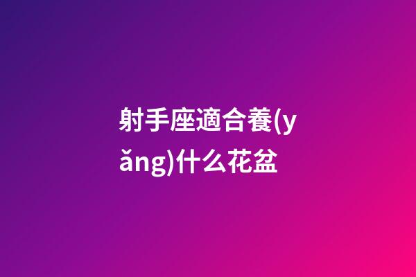 射手座適合養(yǎng)什么花盆