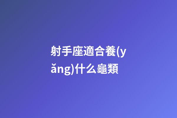 射手座適合養(yǎng)什么龜類-第1張-星座運(yùn)勢(shì)-玄機(jī)派