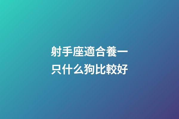 射手座適合養一只什么狗比較好-第1張-星座運勢-玄機派
