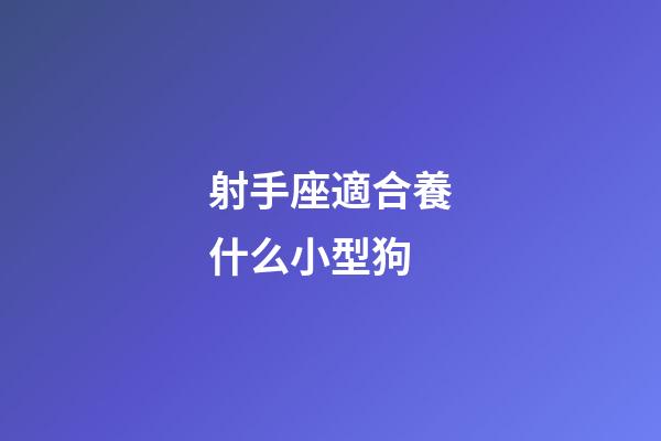 射手座適合養什么小型狗-第1張-星座運勢-玄機派