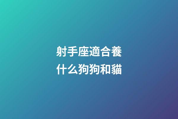 射手座適合養什么狗狗和貓-第1張-星座運勢-玄機派