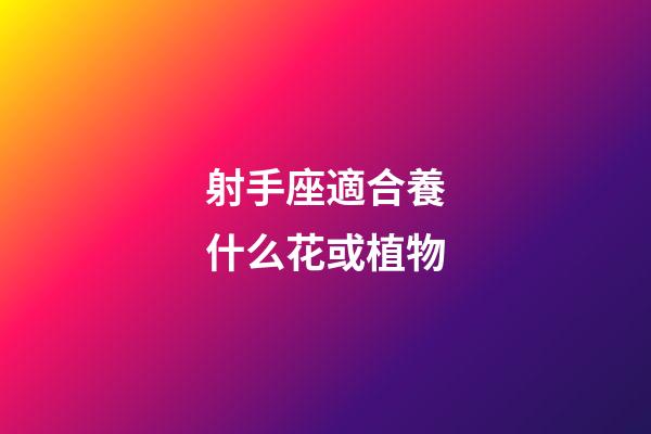 射手座適合養什么花或植物