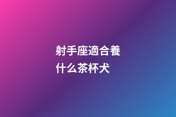 射手座適合養什么茶杯犬-第1張-星座運勢-玄機派