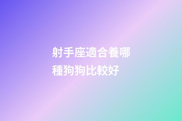 射手座適合養哪種狗狗比較好-第1張-星座運勢-玄機派