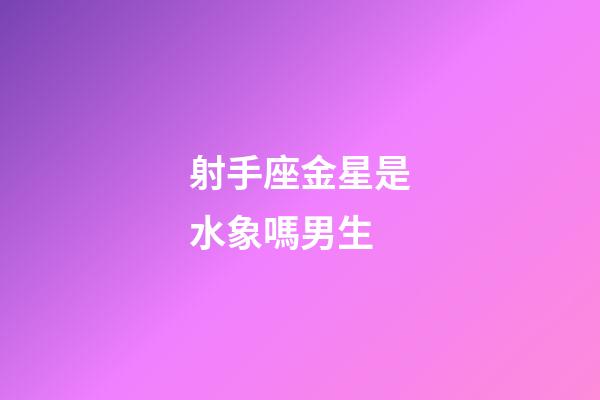 射手座金星是水象嗎男生-第1張-星座運勢-玄機派