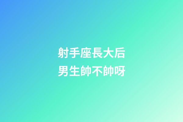 射手座長大后男生帥不帥呀-第1張-星座運勢-玄機派