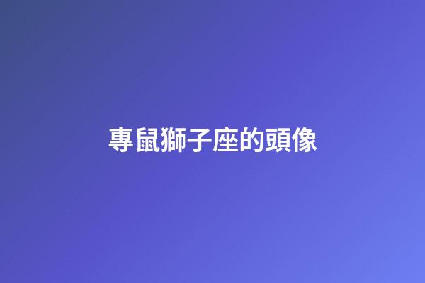 專鼠獅子座的頭像-第1張-星座運勢-玄機派