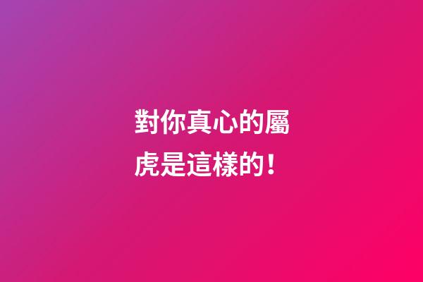 對你真心的屬虎是這樣的！