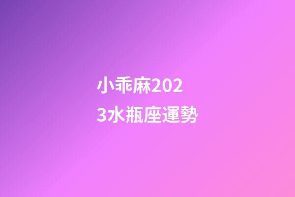 小乖麻2023水瓶座運勢-第1張-星座運勢-玄機派