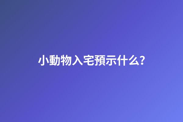 小動物入宅預示什么？