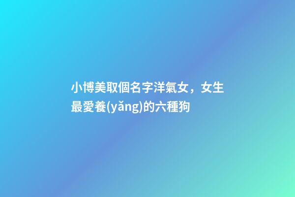 小博美取個名字洋氣女，女生最愛養(yǎng)的六種狗-第1張-觀點(diǎn)-玄機(jī)派