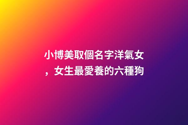 小博美取個名字洋氣女，女生最愛養的六種狗