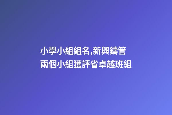 小學小組組名,新興鑄管兩個小組獲評省卓越班組-第1張-觀點-玄機派