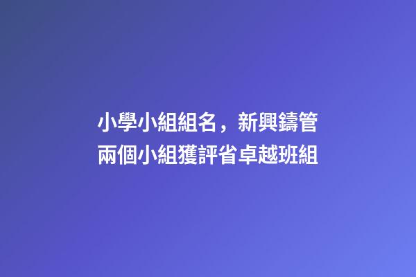 小學小組組名，新興鑄管兩個小組獲評省卓越班組-第1張-觀點-玄機派