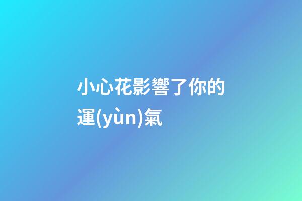 小心花影響了你的運(yùn)氣