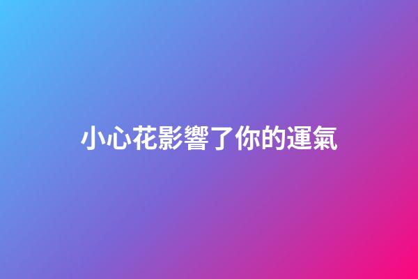 小心花影響了你的運氣