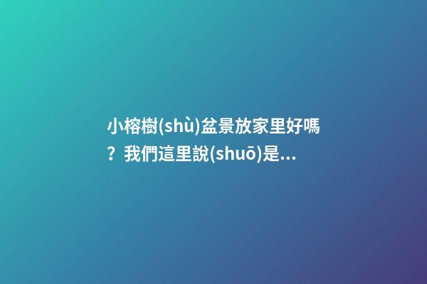 小榕樹(shù)盆景放家里好嗎？我們這里說(shuō)是招財(cái)！花神你怎么看？（小榕樹(shù)盆景放家里好嗎(沒(méi)事)）