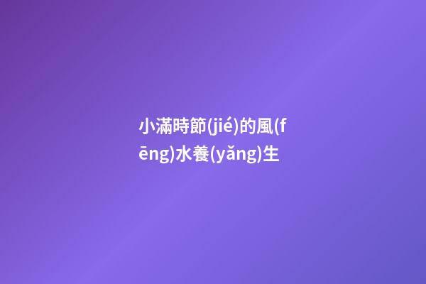 小滿時節(jié)的風(fēng)水養(yǎng)生