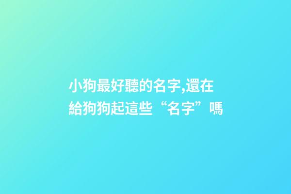 小狗最好聽的名字,還在給狗狗起這些“名字”嗎-第1張-觀點-玄機派