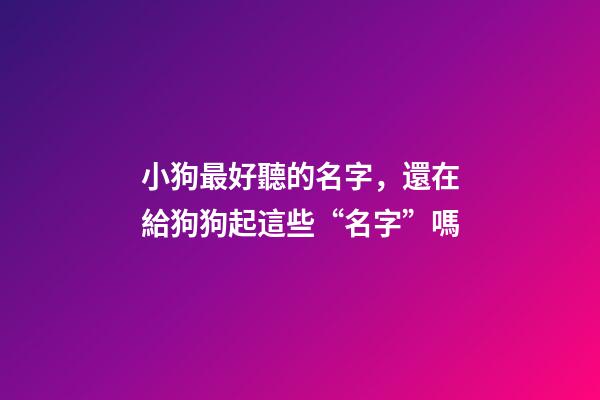 小狗最好聽的名字，還在給狗狗起這些“名字”嗎-第1張-觀點-玄機派