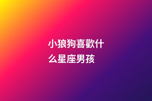 小狼狗喜歡什么星座男孩