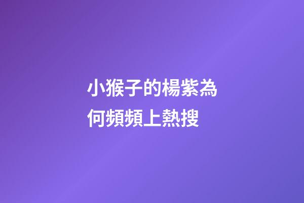 小猴子的楊紫為何頻頻上熱搜
