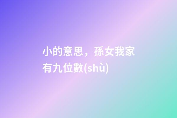 小的意思，孫女我家有九位數(shù)-第1張-觀點-玄機派