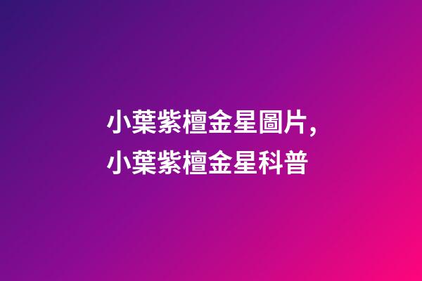 小葉紫檀金星圖片,小葉紫檀金星科普-第1張-觀點(diǎn)-玄機(jī)派