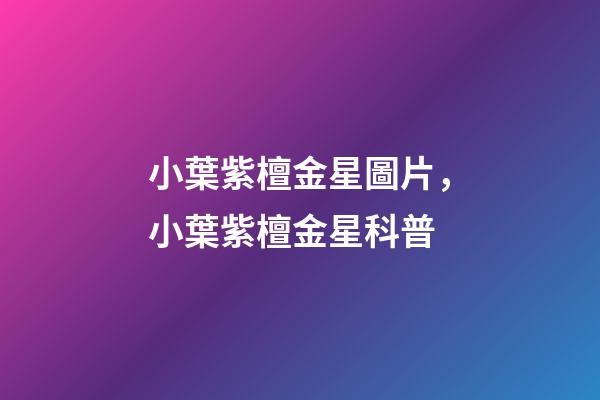 小葉紫檀金星圖片，小葉紫檀金星科普-第1張-觀點(diǎn)-玄機(jī)派