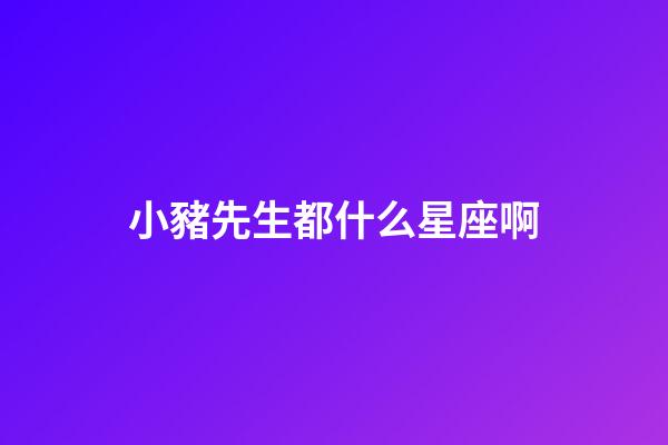 小豬先生都什么星座啊