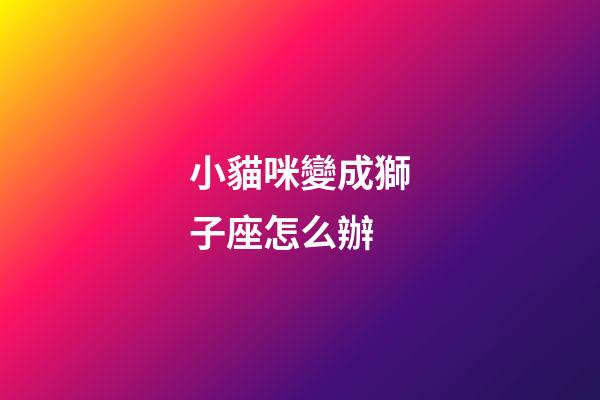 小貓咪變成獅子座怎么辦-第1張-星座運勢-玄機派