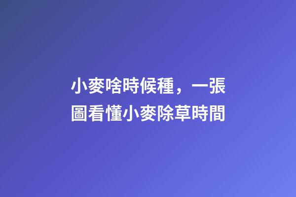 小麥啥時候種，一張圖看懂小麥除草時間-第1張-觀點-玄機派