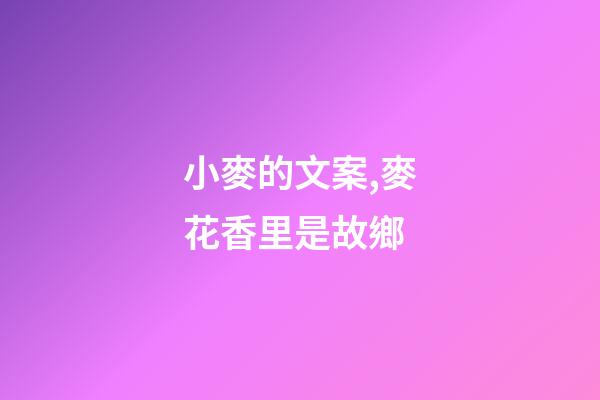 小麥的文案,麥花香里是故鄉-第1張-觀點-玄機派