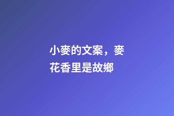 小麥的文案，麥花香里是故鄉-第1張-觀點-玄機派