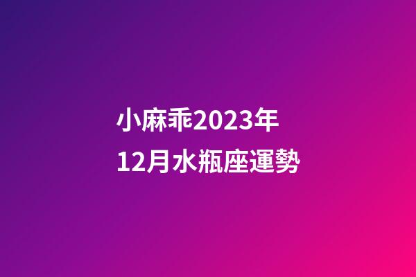 小麻乖2023年12月水瓶座運勢-第1張-星座運勢-玄機派